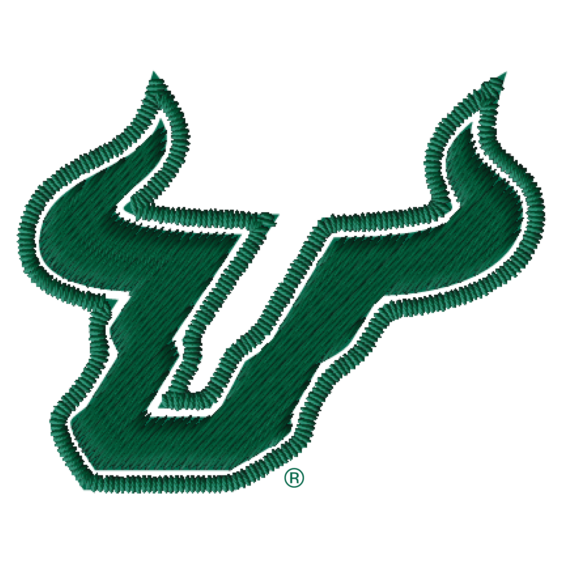 University of South Florida